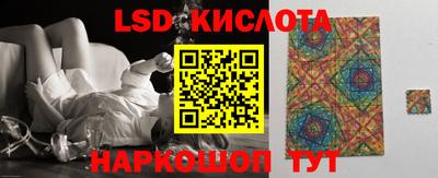 стаф Майкоп