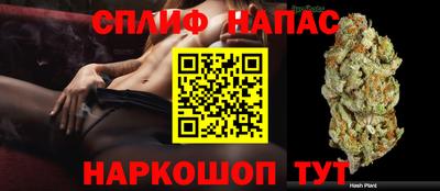 MDMA Славянск-на-Кубани